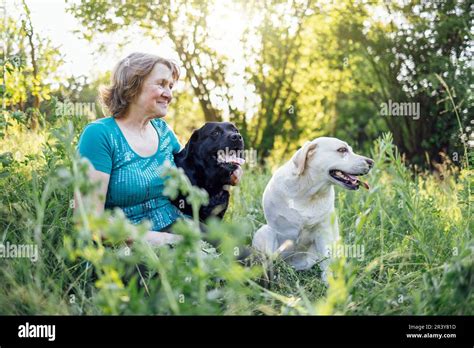 Frau mit ihren Hunden im Watt in Cuxhaven Stock Photo